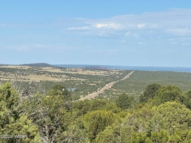 60 County Road 8140, Vernon, AZ 85940