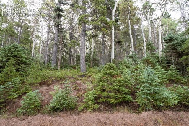Lot 2614 Petito Dr, Fort Garland, CO 81133