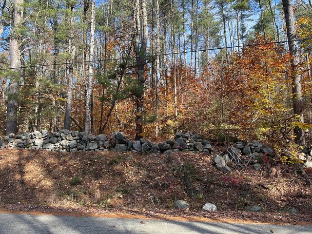 54-F Mountain Road, Parsonsfield, ME 04047