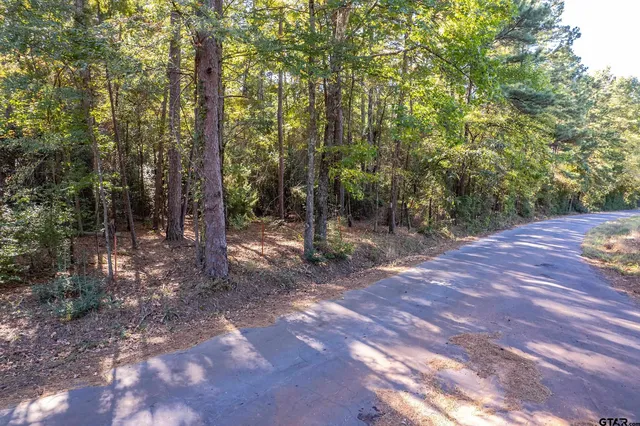 Sycamore Rd, Big Sandy, TX 75755
