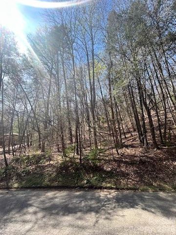 Lot 51 Fairway Dr #51, Lake Lure, NC 28746