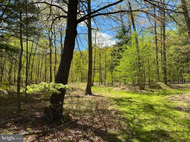 84 Alex Ln, Berkeley Springs, WV 25411