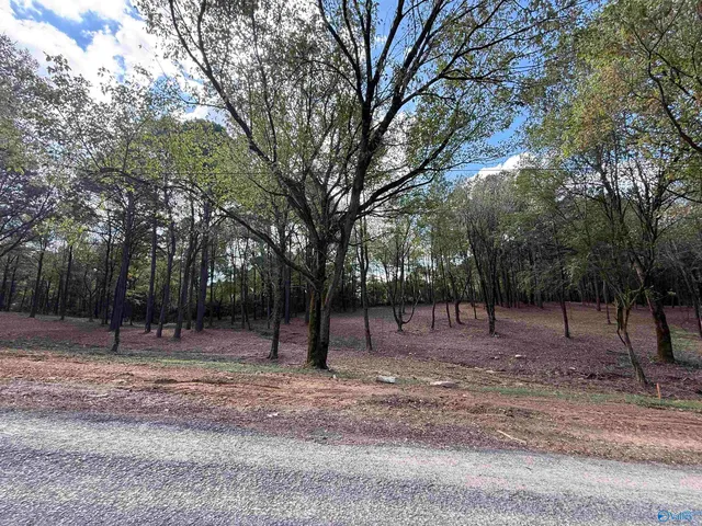 1B County Road 1123, Vinemont, AL 35179