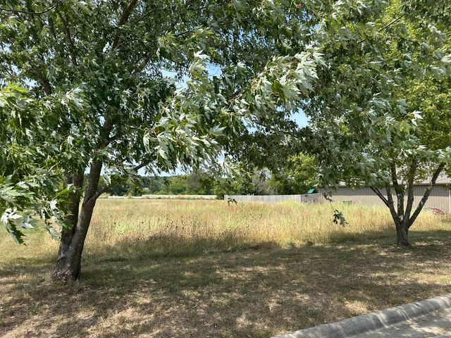 #17-5481 Anita Ave, Pleasant Hope, MO 65725