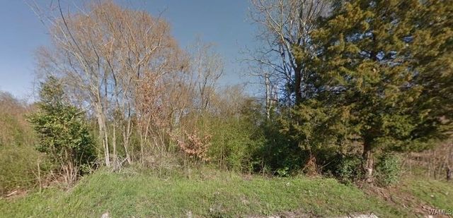 29th Ave, Northport, AL 35476