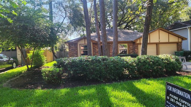 43 Dew Fall Ct, Spring, TX 77380