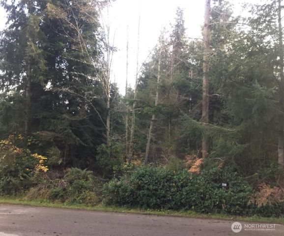 0 Mitchell Drive, Coupeville, WA 98239