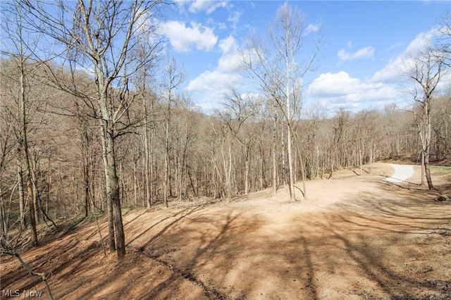 Elk Run Rd, New Matamoras, OH 45767