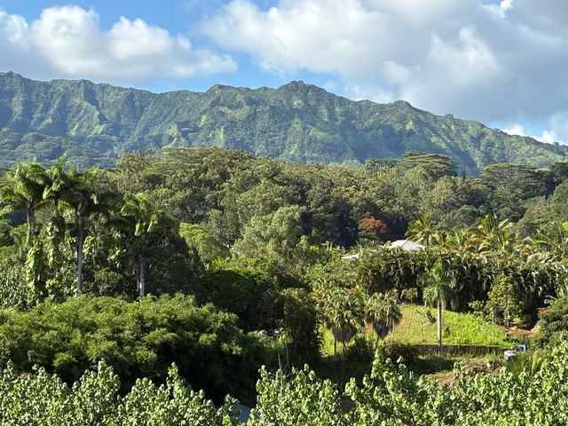 6631A Kipapa Rd #A, Kapaa, HI 96746