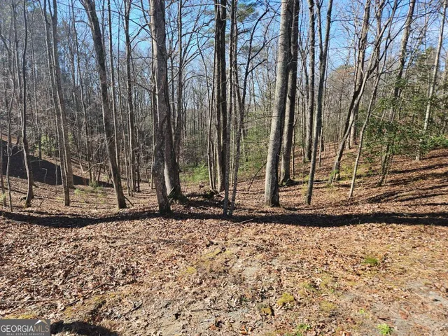 Lot 1405 Malory Cir, Ellijay, GA 30540