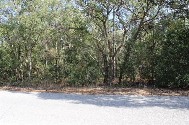 11715 S  Rural Ter #100, Floral City, FL 34436