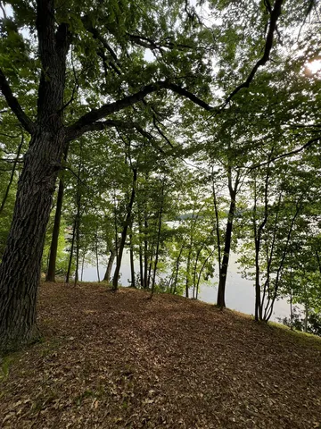 Acorn Rd, Burtrum, MN 56318