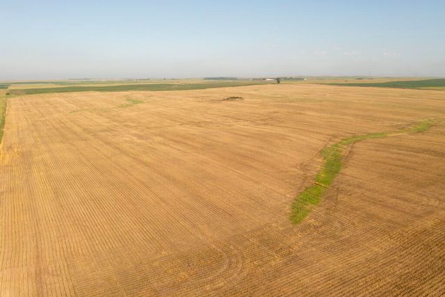 174 Street, Orient, SD 57467