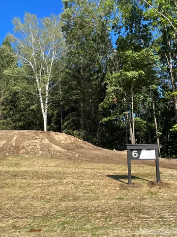 6810 Morrison Hills Ct, Dexter, MI 48130
