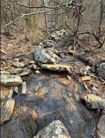 Cold Springs Rd, Waldron, AR 72958