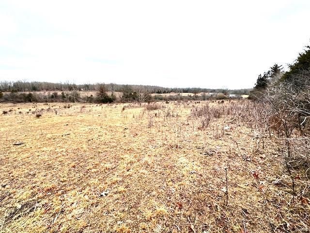 Land For Sale Near Mountain View Mo
