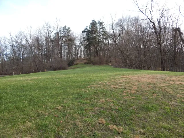 Burton Run Rd, Pennsboro, WV 26415