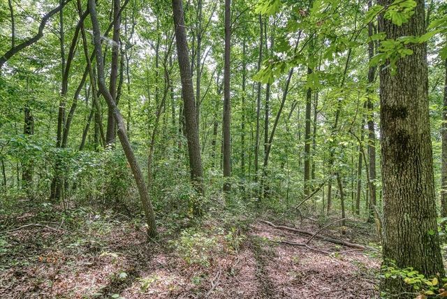 Creek Dr #23, Monterey, TN 38574