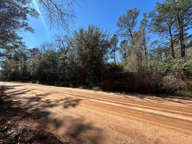 Ll204/26 Dot Harvey Rd, Jakin, GA 39861