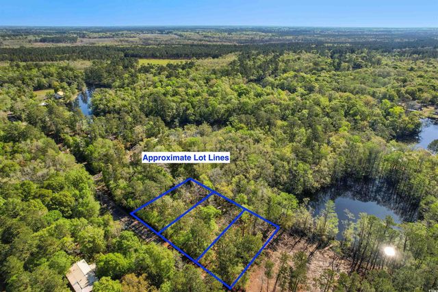 Lot 19,20,21 Cypress Knee Ct. Rowe Pond Lots 19, 20, 21- TMS # 1241701029, 12417, Conway, SC 29526