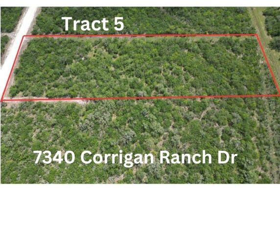 7340 Corrigan Ranch Dr   #5, Skidmore, TX 78389