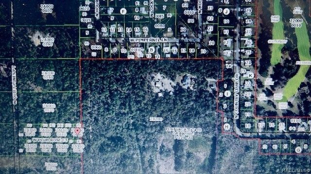 97 N  Quiet Pines Point, Crystal River, FL 34429