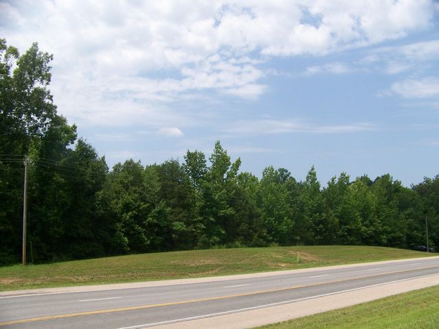 Highway 22, Adamsville, TN 38310
