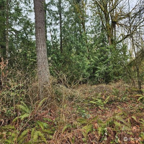 0 Vacant Land, Maple Valley, WA 98038
