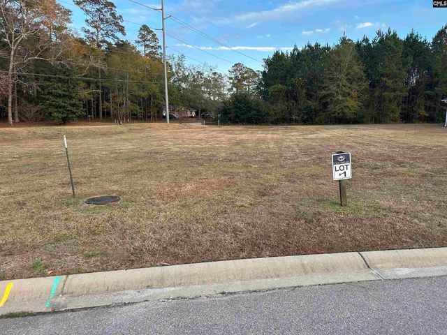 111 Sago Palm Dr #1, Orangeburg, SC 29118
