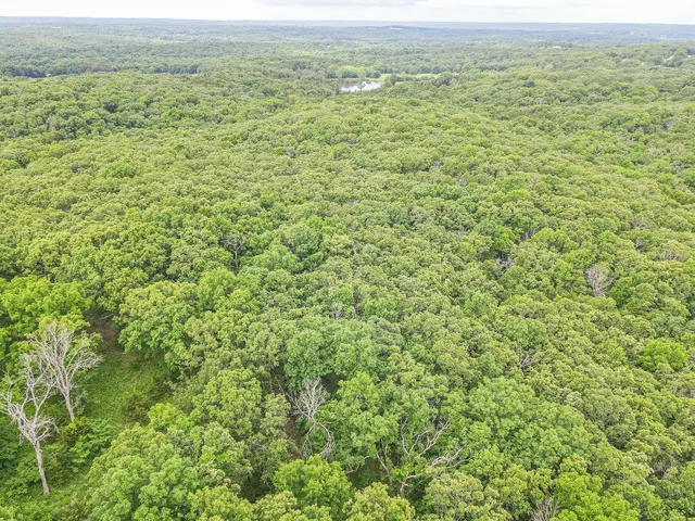 000 Highway 54, Preston, MO 65732