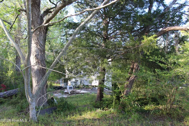 127 Lee St #13 & 14, Newport, NC 28570