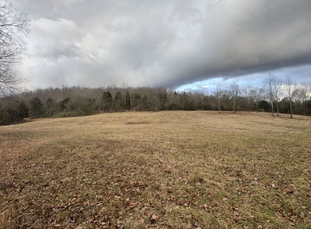 502 Rogues Fork Rd, Bethpage, TN 37022