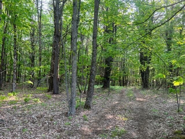 Lot#41-5 Guilford Center Road, Guilford, ME 04443