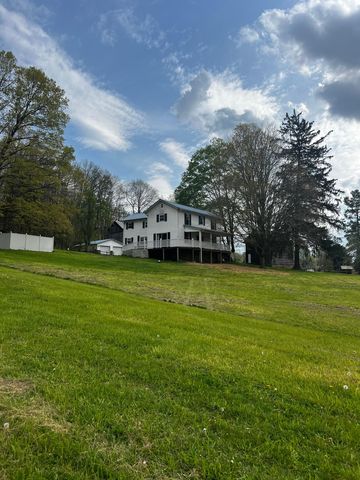 157 Maple Valley Dr, Bruceton Mills, WV 26525