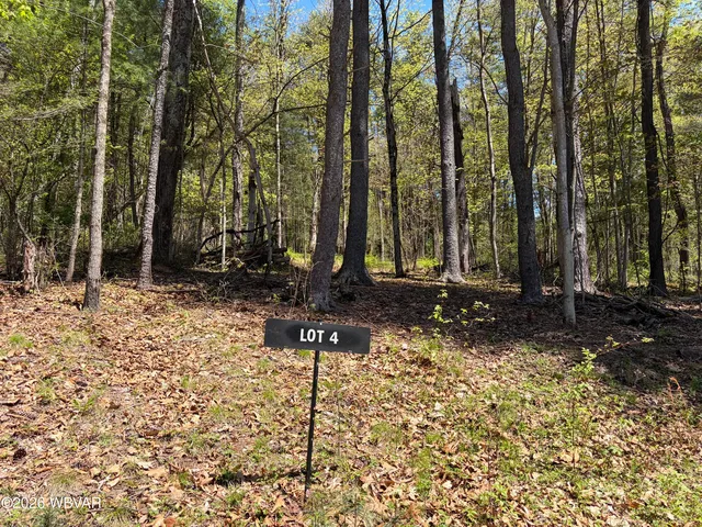 112 Tallman Hollow Rd #4, Montoursville, PA 17754