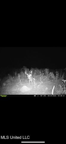 12 Highway, Tchula, MS 39169