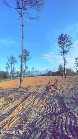 Newton County Martin Rd, Collinsville, MS 39325
