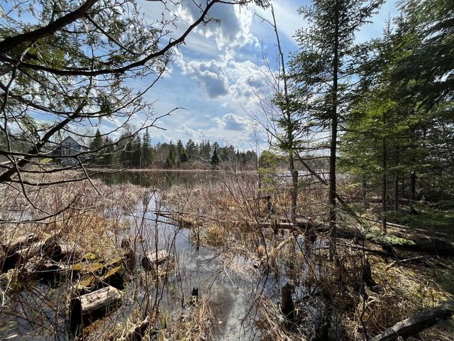 Lot 13 Waters Of Vermilion Rd, Tower, MN 55790