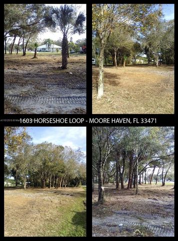 1603 Horseshoe Loop SW, Moore Haven, FL 33471
