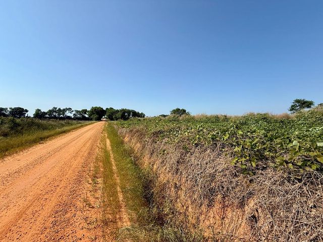 Hollis Dairy Rd #1, Newton, AL 36352