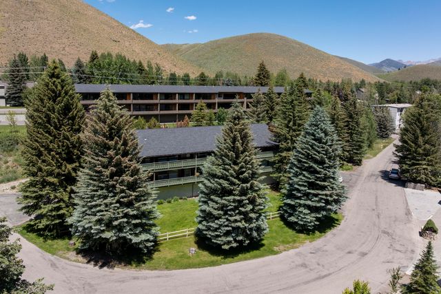 318 Bald Mountain Rd #116, Ketchum, ID 83340