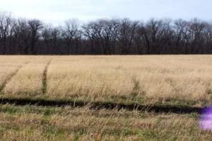 655 Xanadu Pl, Ames, IA 50014