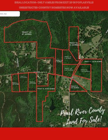 Tract 11 Nelson Rd #7, Poplarville, MS 39470