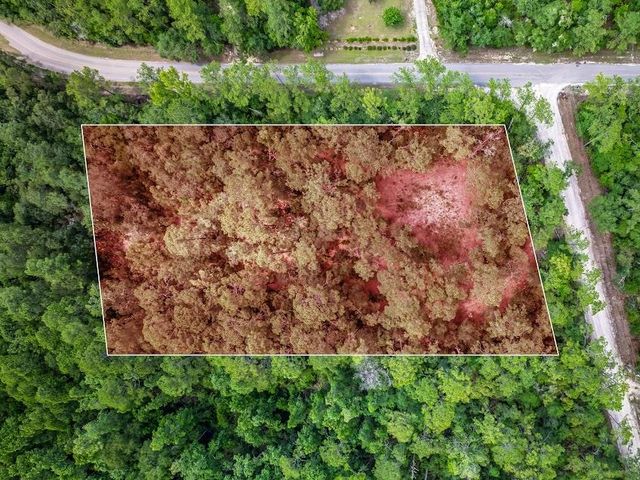 Persimmon Rd, Sopchoppy, FL 32358