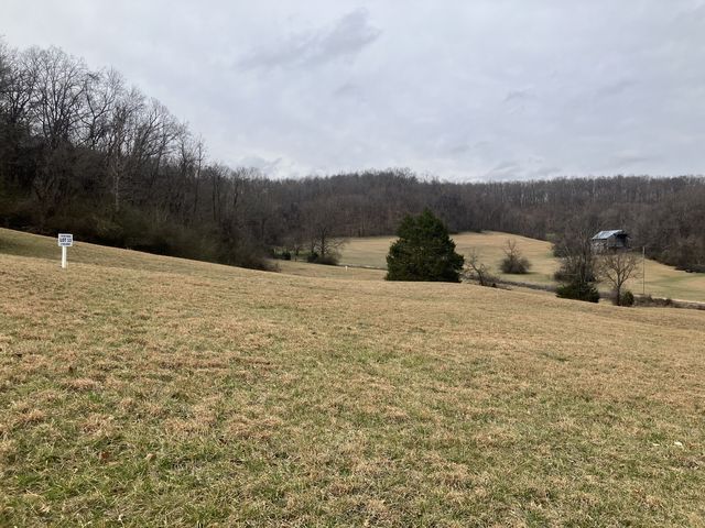 13 Booker Ridge Rd #13, Mount Pleasant, TN 38474