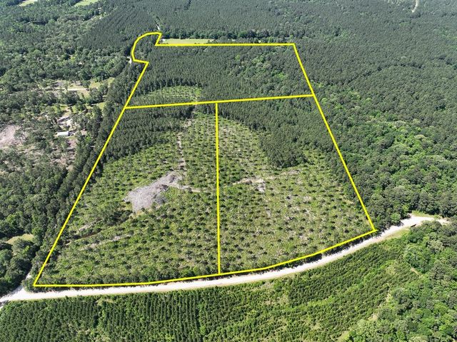 36 Westville Rd, Groveton, TX 75845