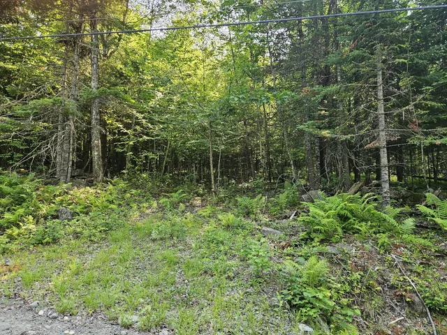 Lot 2-A Rips Road, Brownville, ME 04414