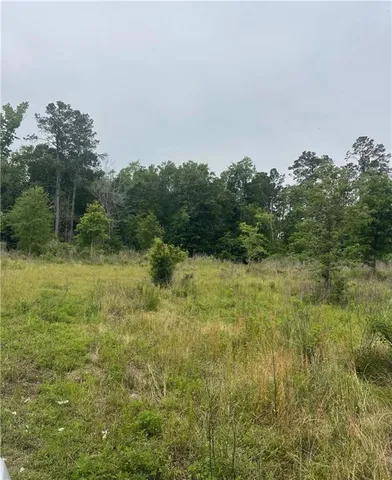 121 Ten Mile Rd, Pitkin, LA 70656
