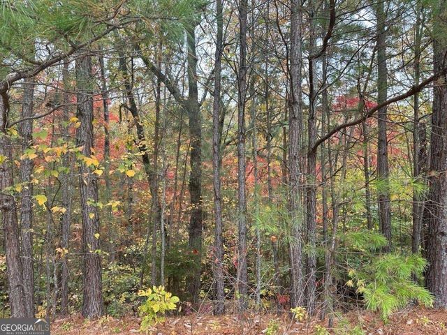 125 Spring Lake Trl, White, GA 30184
