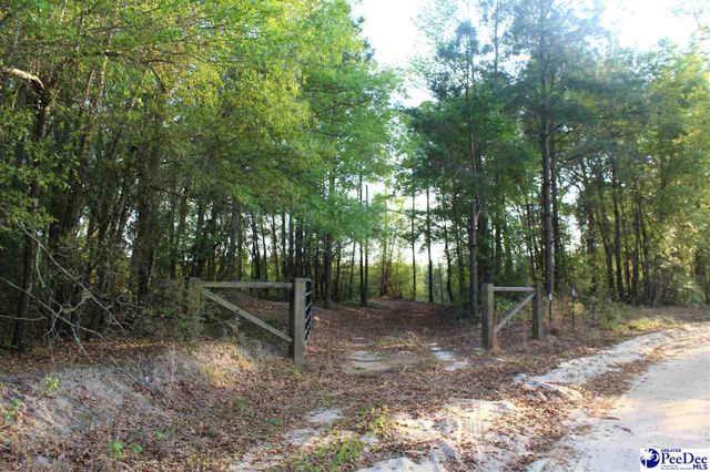 14.5 Acre Hwy #41, Marion, SC 29571